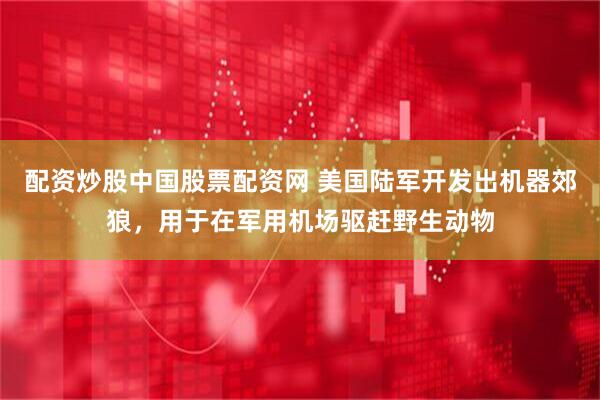 配资炒股中国股票配资网 美国陆军开发出机器郊狼,用于在军用机场驱赶野生动物